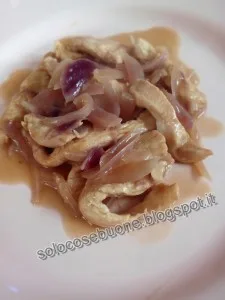 Petto pollo alle cipolle 7